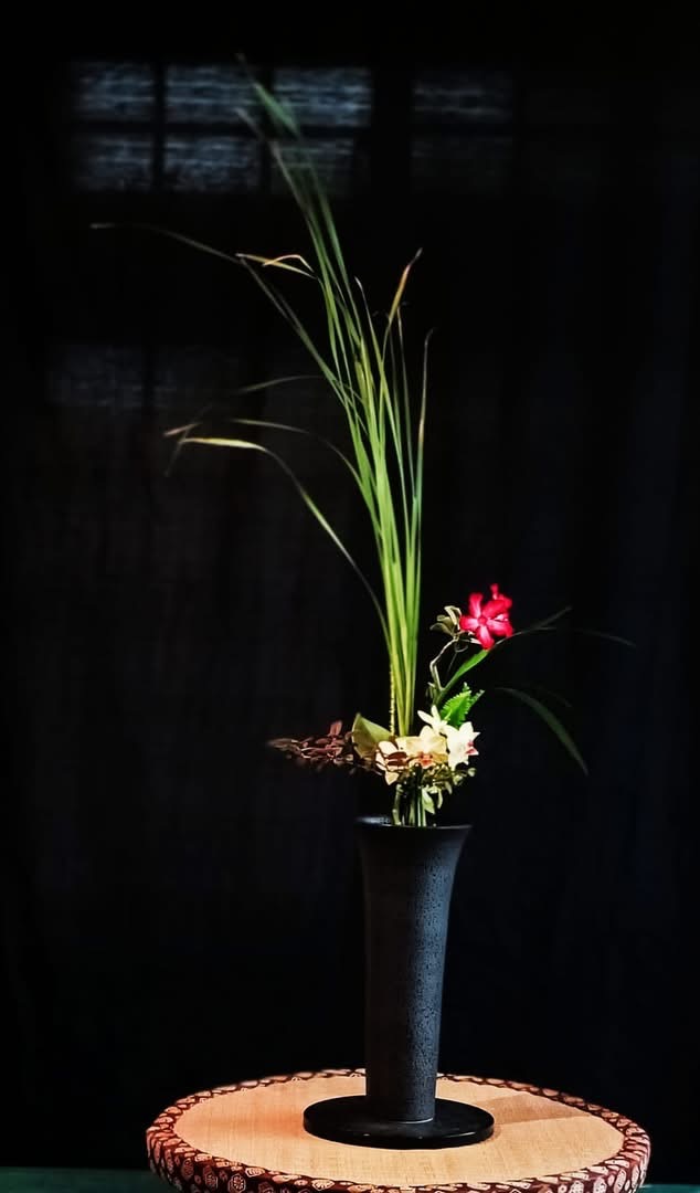 現代立華の作品。黒い花器から細長い緑の葉が伸び、紅白の花が添えられ、丸い木の台に飾られています。